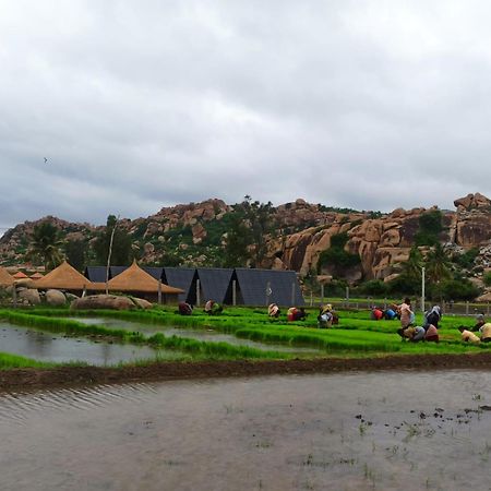 Golden Chariot Resort Hampi Ngoại thất bức ảnh