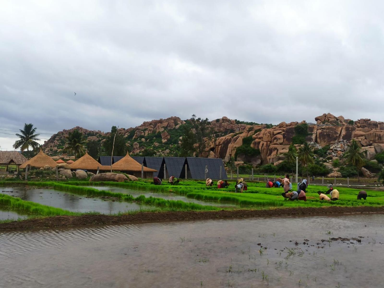 Golden Chariot Resort Hampi Ngoại thất bức ảnh